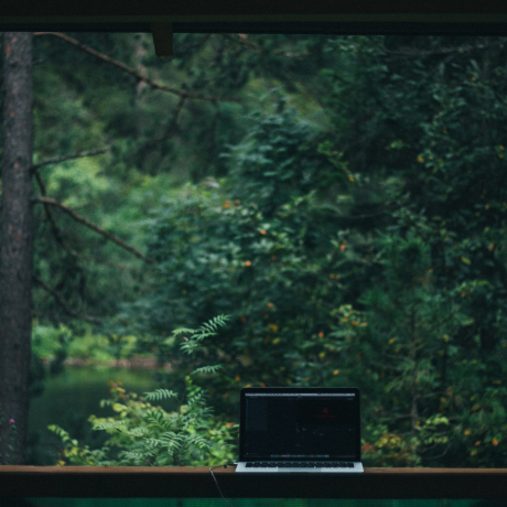 Laptop against a forest background