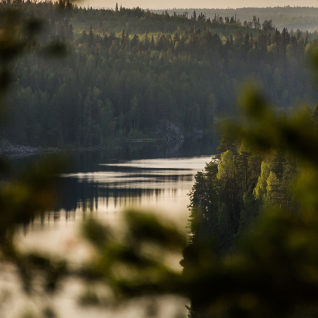 Lake in the middle of the forest